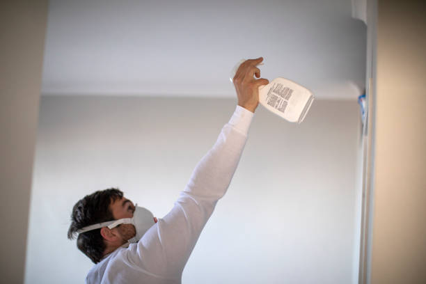 Best Local Mold Removal Service  in Coal City, IL